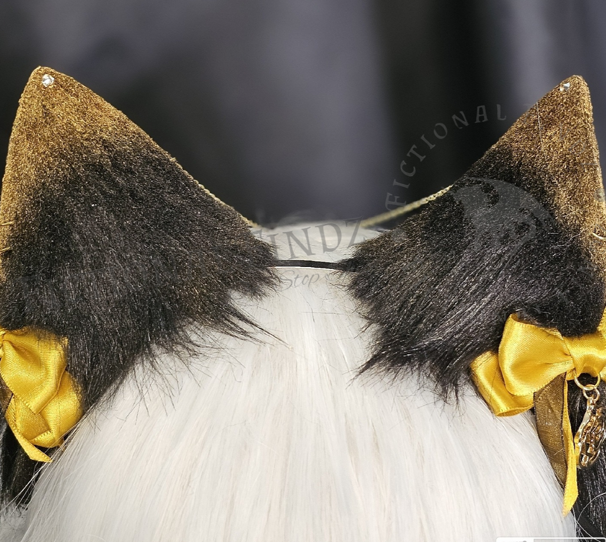 Mel- 'The Golden Mage' Arcane Themed Fox Ears
