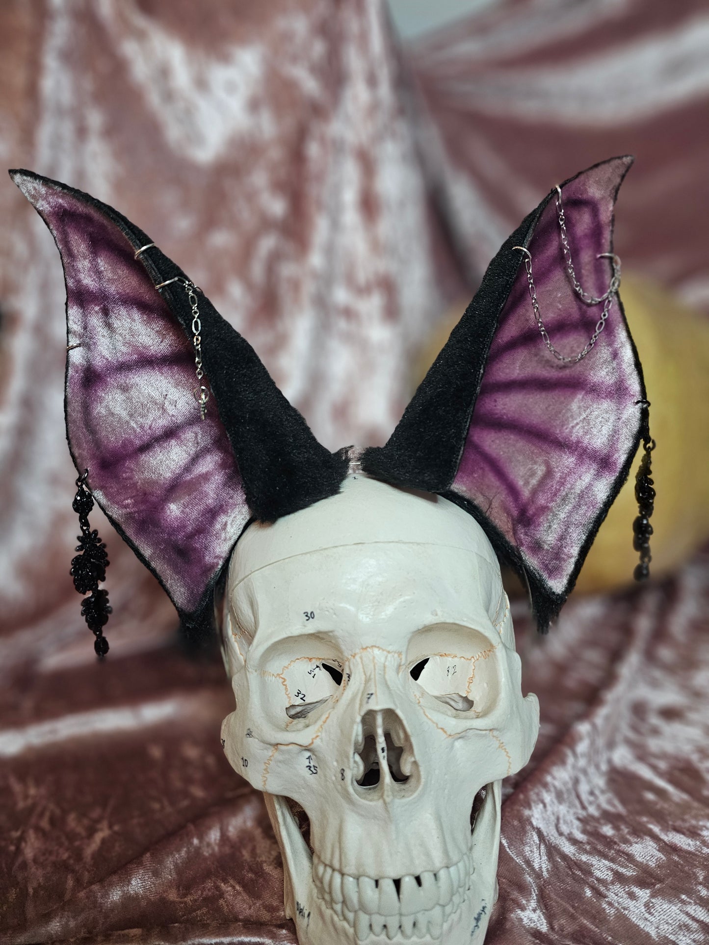 B.Y.O. Bat Ears