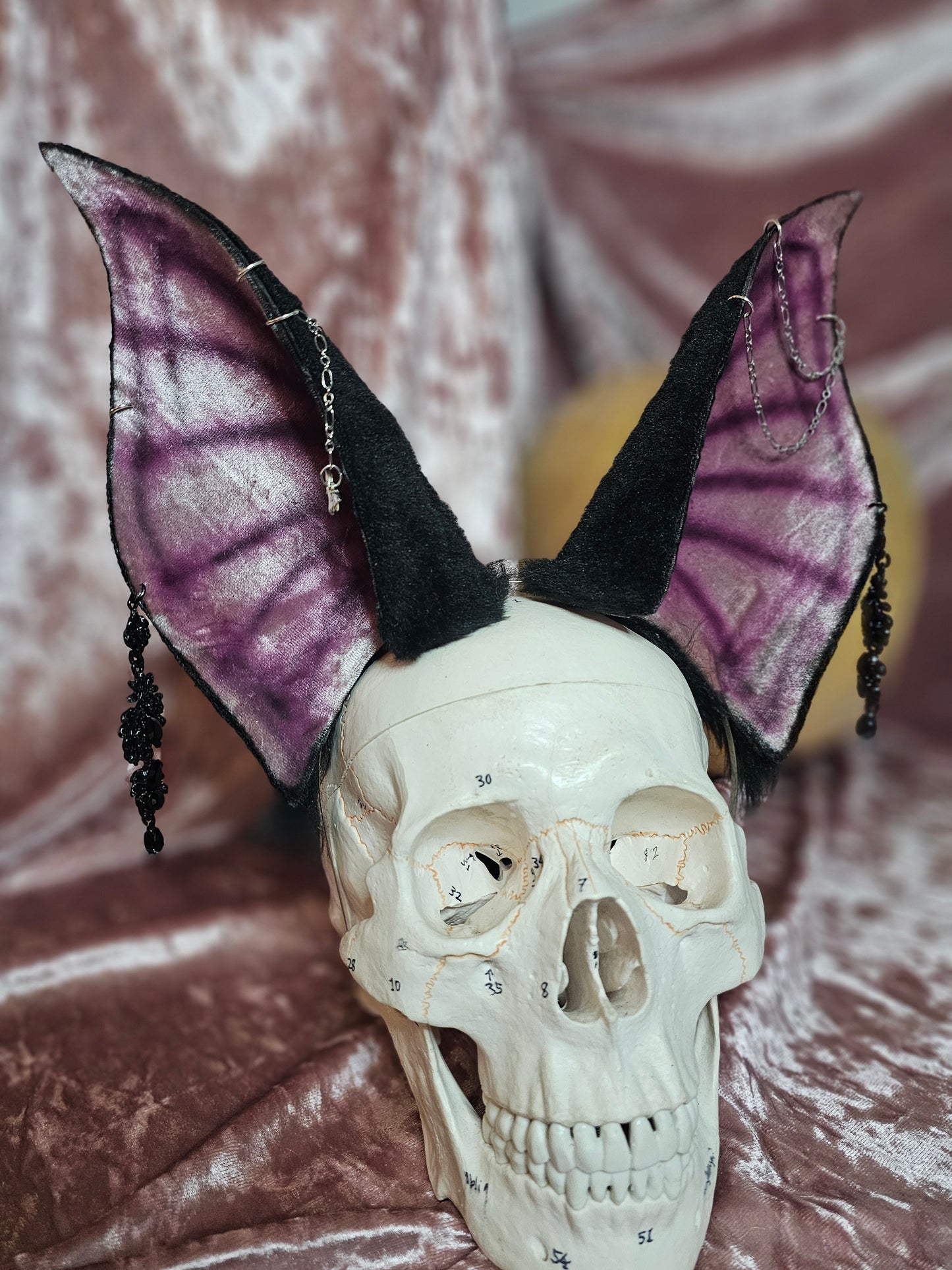 B.Y.O. Bat Ears